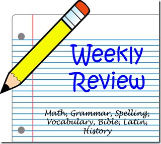 weekly review graphic 2