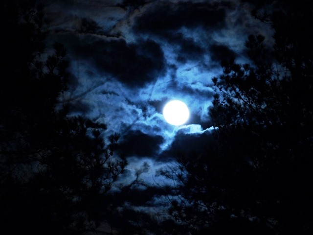 [moon1%255B2%255D.jpg]