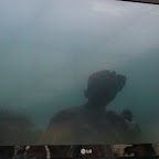 DSCN7348.JPG