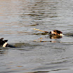 trenink_25052012_077.JPG