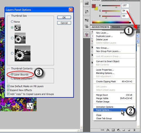 panel_options panel_options