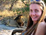 But it makes for nice photos too! A full lion is pretty much a harmless lion! South Africa - 506.jpg