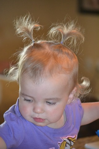 [DSC_01613.jpg]