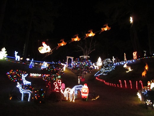 [xmas-decs-0251%255B1%255D.jpg]