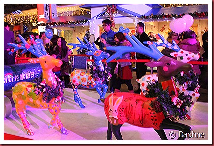 IMG_1560 IMG_1560