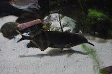 DSC_0180.JPG