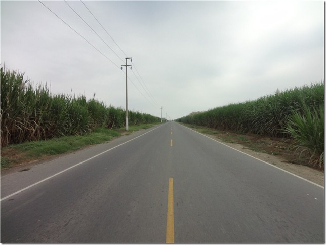 s-DSC01665 s-DSC01665