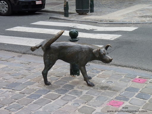 perro-meon-de-bruselas-estatua.JPG