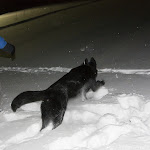 04.02.12 Külmimal nädalavahetusel Piiri spordibaasis ja Rae talus - AS05VEB12PIIRI-RAE046S.jpg
