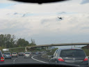 IMG_1106.jpg