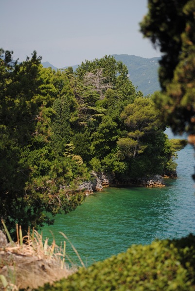 DSC_0388.jpg DSC 0388