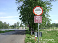 dsc06921.jpg