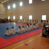 IMG_6390.jpg