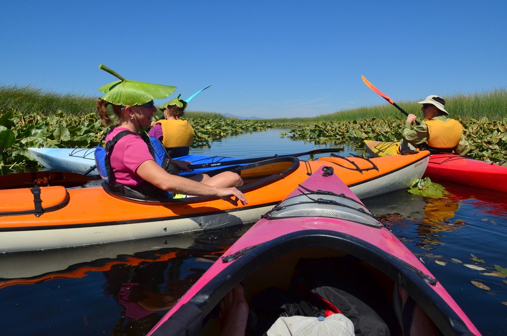 [DSC_0060%255B3%255D.jpg]