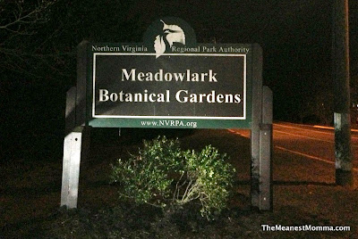 Meadowlark Gardens Winter Walk of Lights