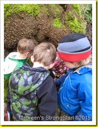IMG_4587 IMG_4587