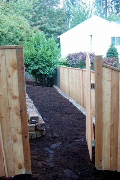 sideyard down.JPG Sideyard down
