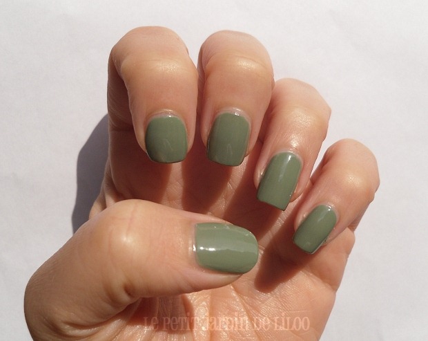 003-accessorize-nail-polish-wyoming-notd-review-swatch