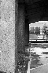 Under-the-Bridge-5