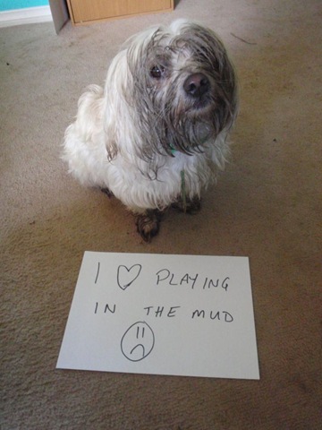[dog-shaming-bad-36%255B2%255D.jpg]