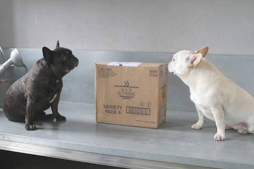 Franny, look at this package that arrived for Ryan.  The box says it's Soup Supreme, but why would he need soup in the greenhouse?