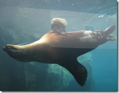 IMG_4852 IMG_4852