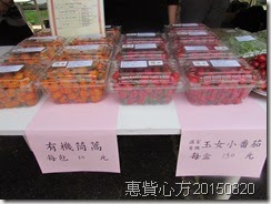 IMG_1206 IMG_1206