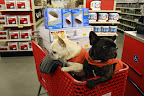 You're right, GK!  Sharkey and I will take this cart to the checkout line.  Meet you there!