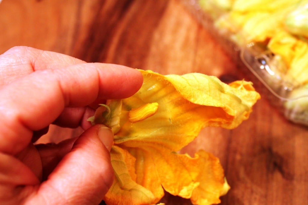 [ZucchiniFlowers2%255B2%255D.jpg]