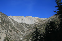 IMG_5247.JPG Photo