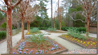 Sandhill Horticultural Garden_012