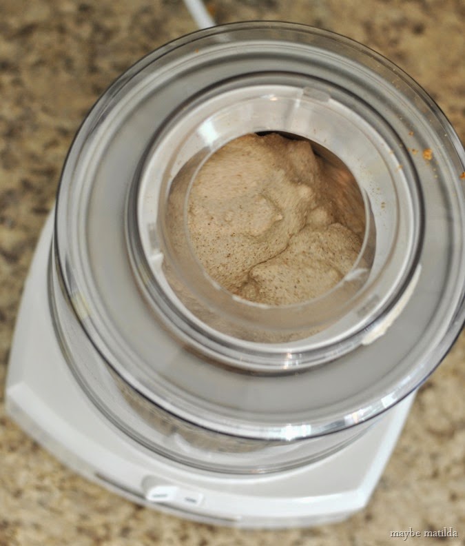 Cinnamon Gingersnap Ice Cream