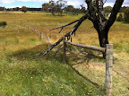 Dec 5 - Farm Fence