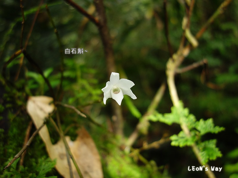 blog_025 blog_025