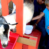 LEARN at Rancho Alegre: Field Trips, Summer Camps, & Girl Scouts