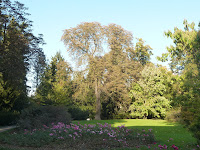 Průhonice Photo