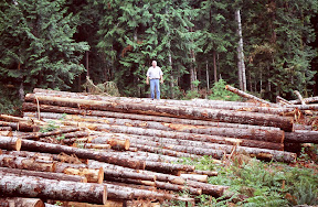 The Planters - Washington state Tree Farmer, Tom Wynne, stands atop the fruits of his labors - a deck of Douglas-fir logs harvested from his forest near Olympia, Washington only days before this photograph was taken in the summer of 1996. Surprising to many is the fact that Tree Farmers like Mr. Wynne supply most of America's domestic timber supply. What makes this fact even more amazing is that the majority of the nation's Tree Farmers consider wood to be a byproduct of their management objective which, in most cases, has much to do with conserving or creating wildlife habitat. So much for the unsubstantiated claim that timber harvesting and wildlife conservation can't go hand in hand.