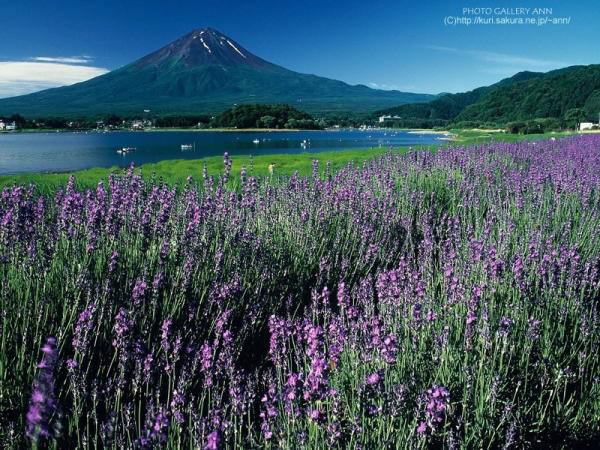 Image Dimension: 600x450 :: Photos: Trust me its Real Photos: Trust me its Real