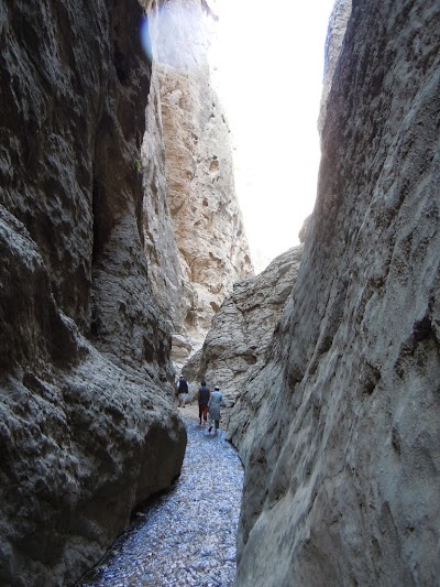 DSCN3997.jpg