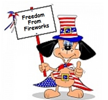[FreedomFromFireworks10.jpg]