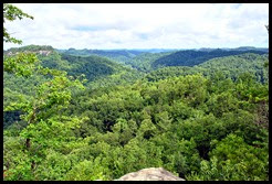 12b - Lover's Leap - View north