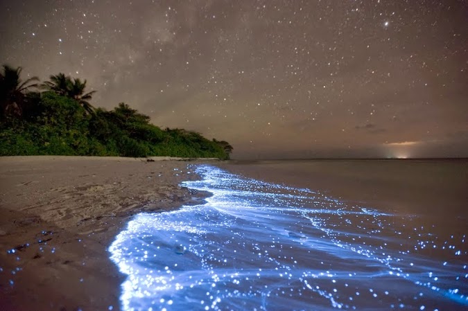 Quisimos fotografiar el momento pero la contaminación lumínica no lo permitió. Esta imagen es tomada de internet. noctilucas.jpg