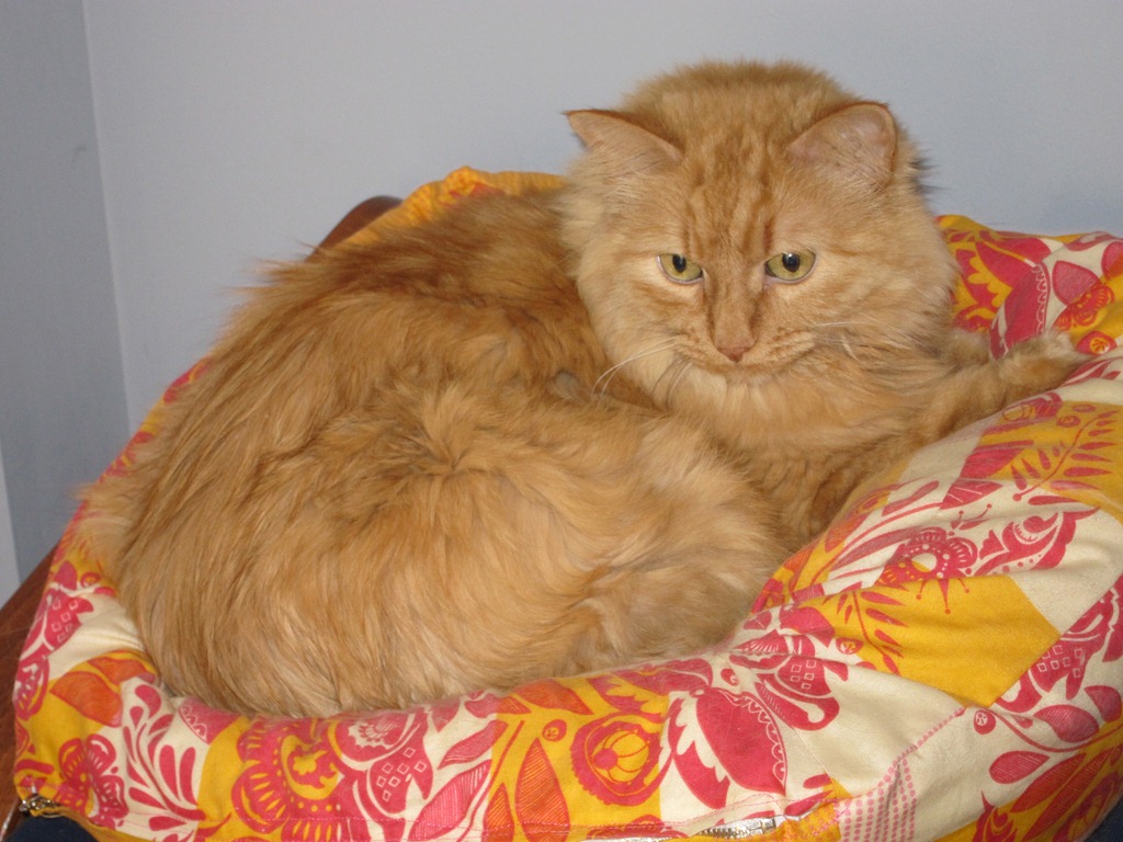 [023%255B3%255D.jpg]