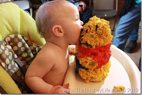 IMG_0338 IMG_0338