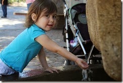 IMG_6606 IMG_6606