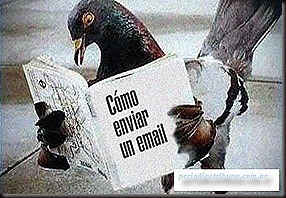 6496-lo-que-faltaba-en-cuba-se-utilizaran-palomas-mensajera 6496-lo-que-faltaba-en-cuba-se-utilizaran-palomas-mensajera