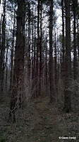 2011-03-05_14-54-57_827.jpg