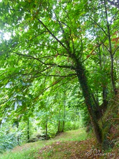 [P11800523.jpg]