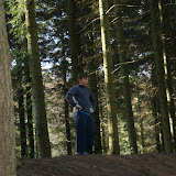 Album weergeven