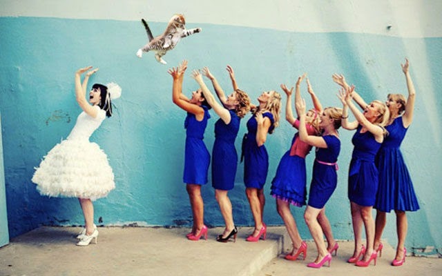 [cat-toss-weddings-8%255B2%255D.jpg]